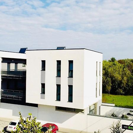 Casa Maria City Apartments Timişoara Exterior foto