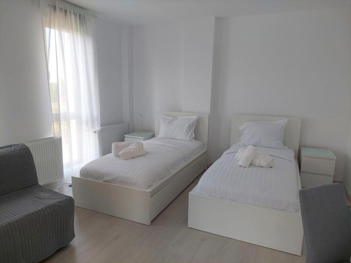 Casa Maria City Apartments Timişoara Exterior foto